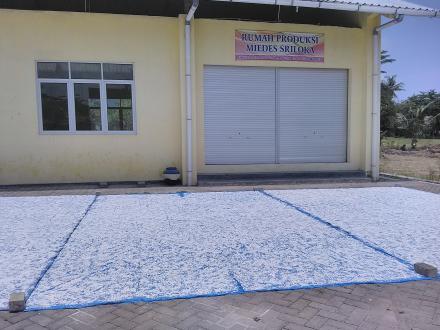 PROSES PENGERINGAN PATI ACI 